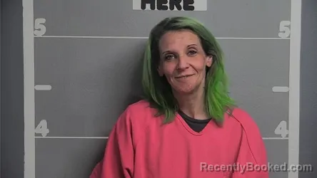 Mugshot of AMANDA LU HOUSE