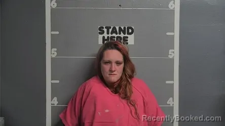 Mugshot of ALEXIS WEHMEYER
