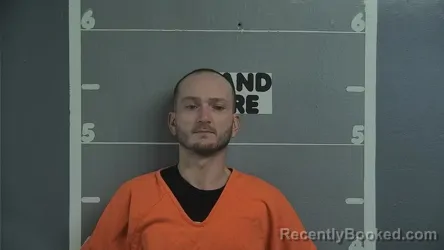 Mugshot of ANDREW WISEMAN