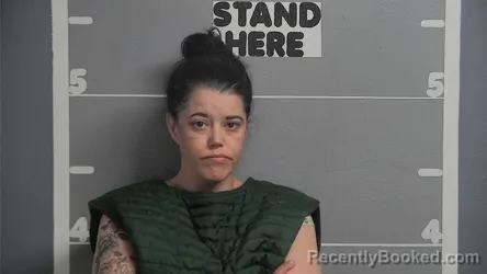 Mugshot of ASHLEY WALLACE booked in Ohio County, Kentucky on May 3, 2026