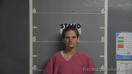 Mugshot of BREANNA L HARMON booked in Ohio County, Kentucky on June 5, 2026
