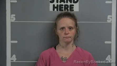 Mugshot of BRANDY M PHELPS