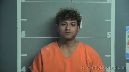 Mugshot of ERICSSON SALAZAR