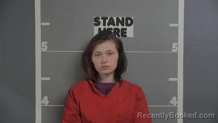 Mugshot of JESSICA MARIE BROWN