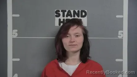 Mugshot of JESSICA MARIE BROWN