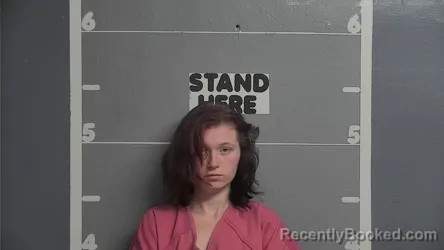Mugshot of JESSICA MARIE BROWN