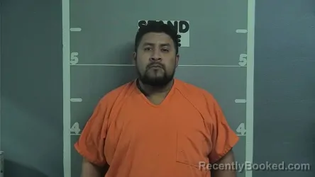 Mugshot of JUAN PAVON CHAVEZ