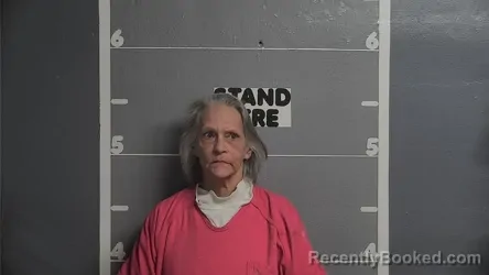 Mugshot of LISA JANE JONES
