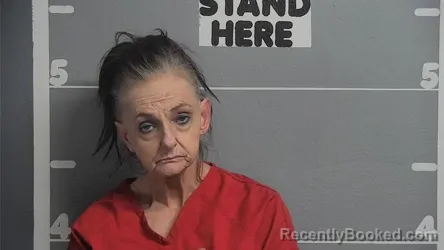 Mugshot of LISA DENAE MOORE booked in Ohio County, Kentucky on June 3, 2026