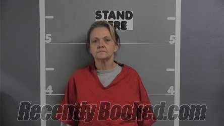 Booking photo from Ohio County, Kentucky