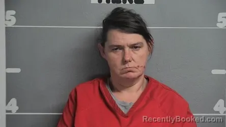 Mugshot of REBECCA L ELLIOTT booked in Ohio County, Kentucky on July 28, 2026
