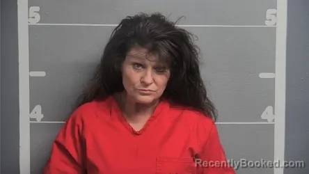 Mugshot of SHERI L RISINGER