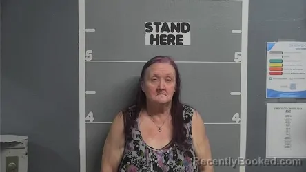 Mugshot of Tresa Joy Johnston booked in Ohio County, Kentucky on August 18, 2026