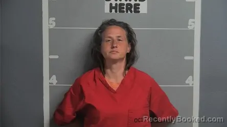 Mugshot of TARA ANN PAYNE