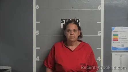 Mugshot of Tracy Dawn Stewart booked in Ohio County, Kentucky on August 18, 2026