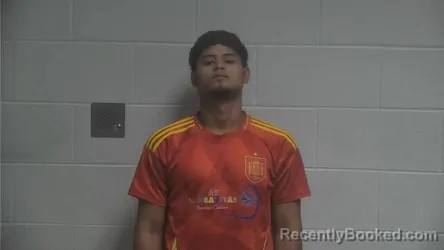 Mugshot of LUIS DELMER ANTUNEZ-VASQUEZ