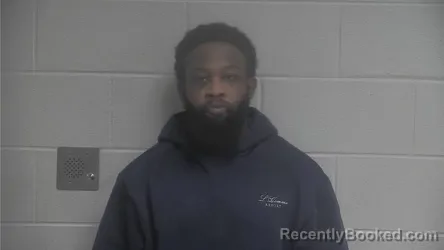 Mugshot of OLUWASEYANU AFOLUWASO AKINOLA-AFOLABI