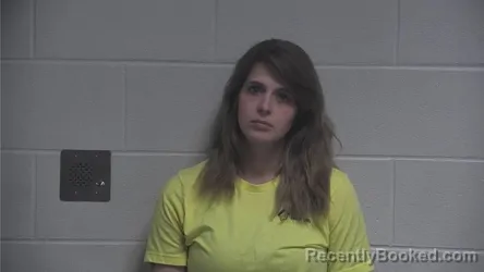 Mugshot of HOPE LEE BOOTH