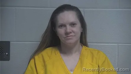 Mugshot of SARAH ANN HAYES