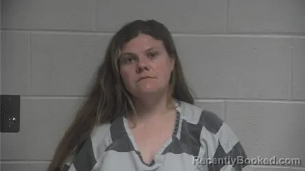 Mugshot of BRITTANY SUE RAYBOURN