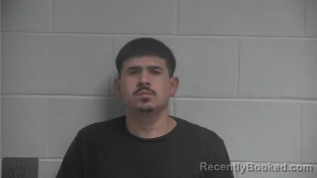 Mugshot of JULIO TREVINO
