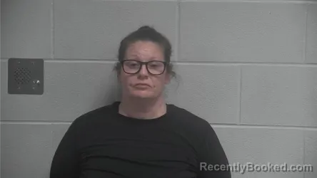 Mugshot of TONYA ANNE HILLARD