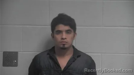 Mugshot of WILDER WILFREDO ORANTES-NAVAS
