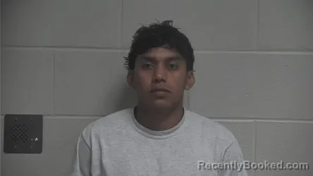Mugshot of JUNIOR ENRIQUE ZELAYA RODRIGUEZ