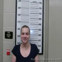 Mugshot of SHANNON NICOLE DAVIS