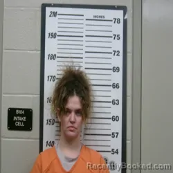 Mugshot of ASHLEY LYNN MCNALLY