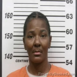 Mugshot of STACY MARIE BROWN