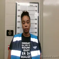 Mugshot of EVELIN WHITE