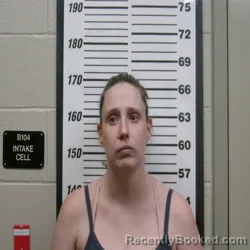 Mugshot of BETH HACKNEY