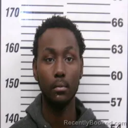 Mugshot of TERRY ROSS-TURNBULL