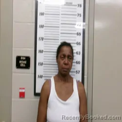 Mugshot of ANN MARIE YOUNG booked in Montgomery County, North Carolina on March 22, 2026