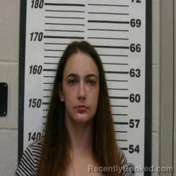 Mugshot of LAURA ANN SMITH