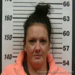 Mugshot of ALESHIA MICHELLE BAGGETT