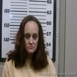 Mugshot of BRANDI NICOLE DEANN FURR