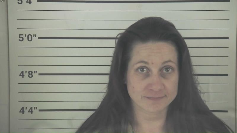 Mugshot of AMY MARIE FIELDS booked in Pendleton County, Kentucky on July 8, 2026