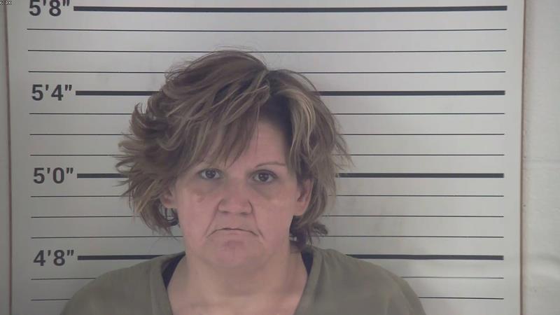 Mugshot of AMBER STARR FANCOTE