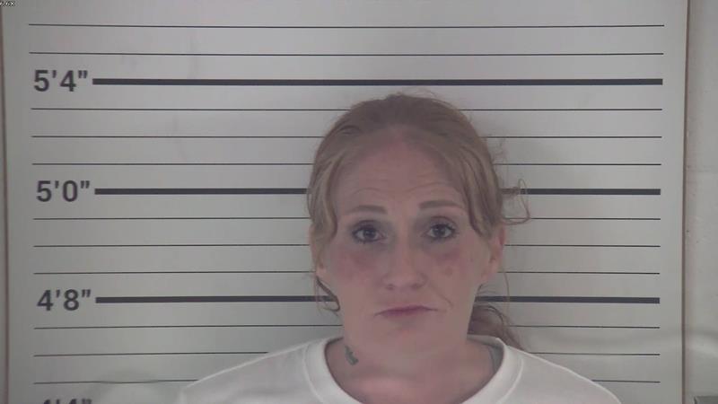 Mugshot of AMBER LIEBISCH booked in Pendleton County, Kentucky on April 3, 2026