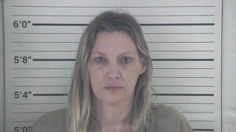 Mugshot of AMY DENISE LOCKE