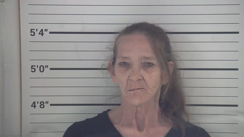 Mugshot of ANN MARGARETTE MCINTYRE booked in Pendleton County, Kentucky on April 23, 2026