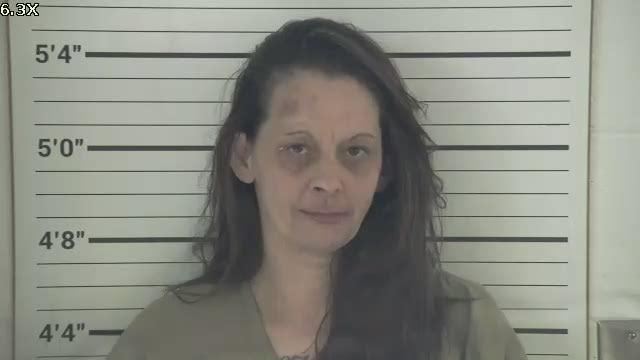 Mugshot of CHRISTINA MICHELLE MITCHELL