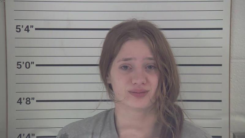 Mugshot of FAITH JEAN WISSEL