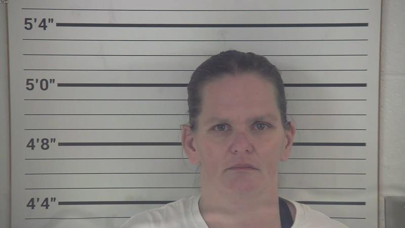Mugshot of KARINA DANIELLE MARIE BANKS booked in Pendleton County, Kentucky on June 3, 2026