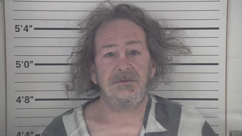 Mugshot of MARK WAYNE JOHNSON