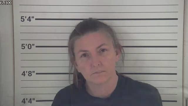 Mugshot of NICHOLE LYNN DYAS