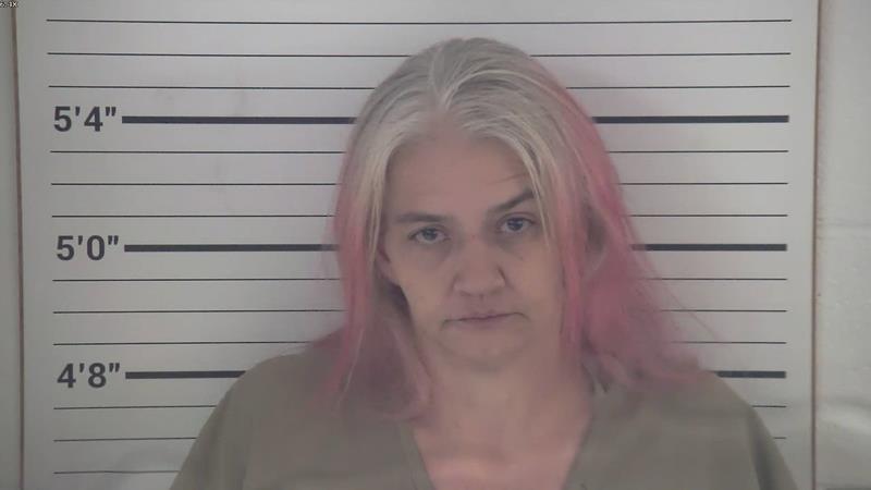 Mugshot of SAMANTHA GENE HICKS