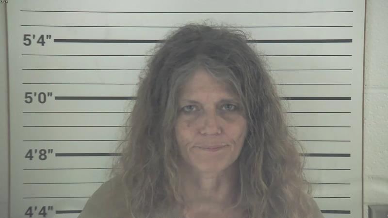 Mugshot of SHERRY LYNN HENSLEY booked in Pendleton County, Kentucky on June 2, 2026